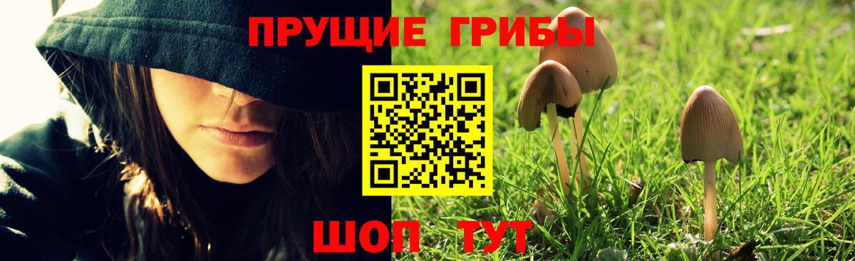Зима  Галлюциногенные грибы Psilocybine cubensis  Вход с VPN  закладка  Галлюциногенные грибы Psilocybe 